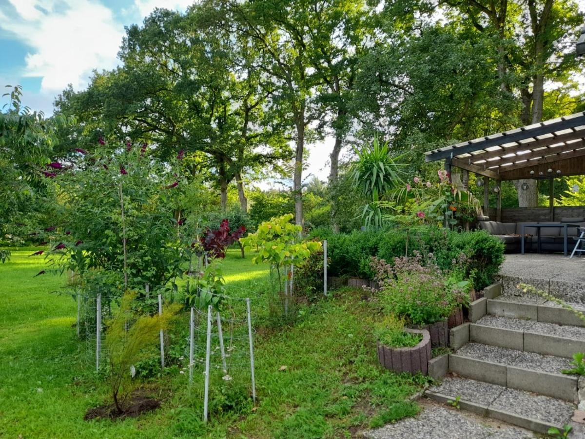 Haus Wald Und Wiese Wohnung Wiese Ehndorf Экстерьер фото