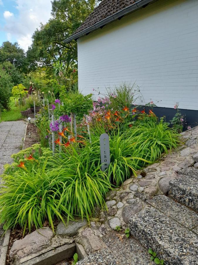 Haus Wald Und Wiese Wohnung Wiese Ehndorf Экстерьер фото